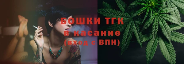 СК Волосово