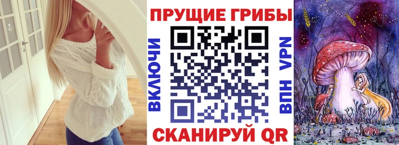 Галлюциногенные грибы мицелий  мега ссылка  Щёлково 